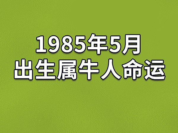 周三运势：避免风险，谨慎处理财务，情绪反应或引歧途