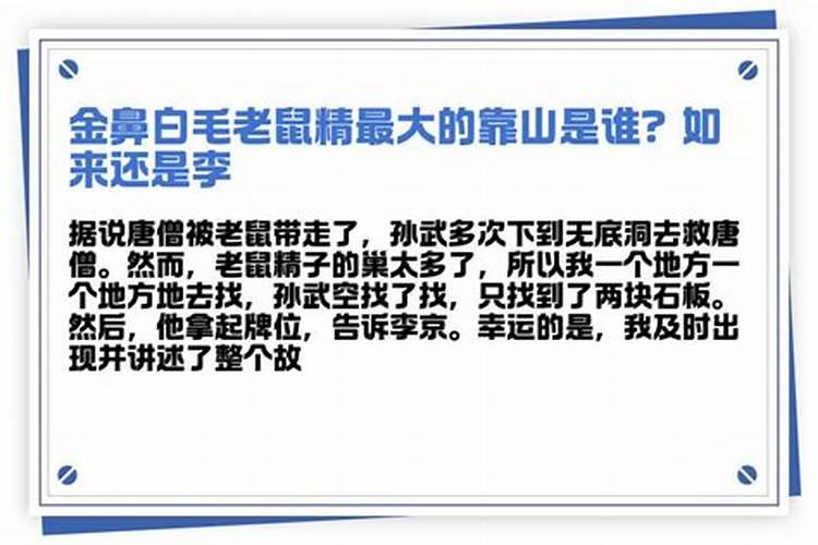 十二生肖今日运势：鼠宜谨言慎行，牛面临人际挑战